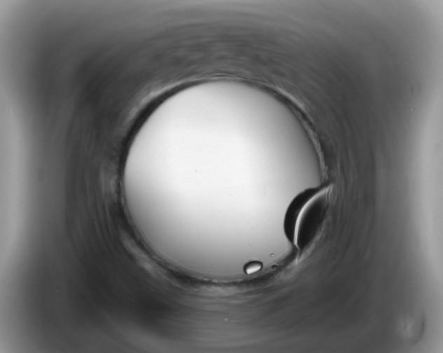 X0000086251499200704121942