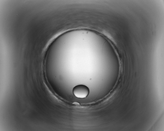 X0000086251500200704121942
