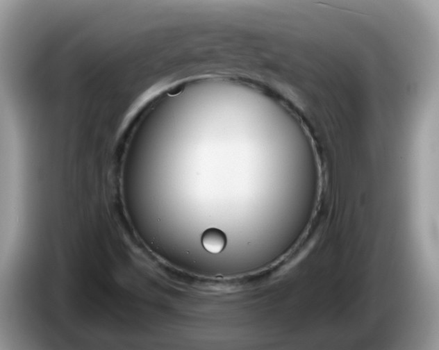 X0000086251501200704121942