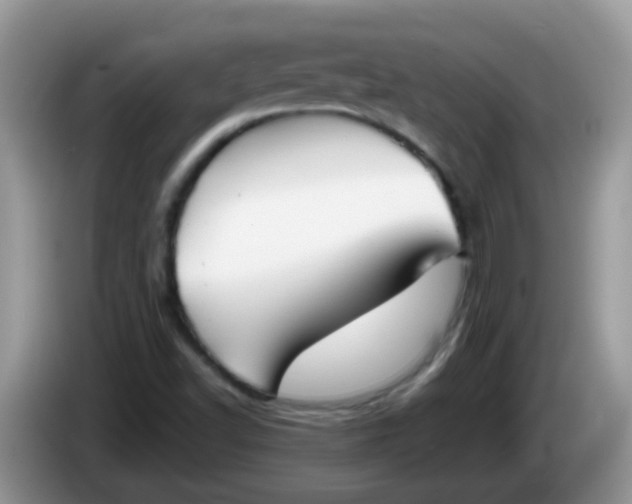 X0000086251502200704121942