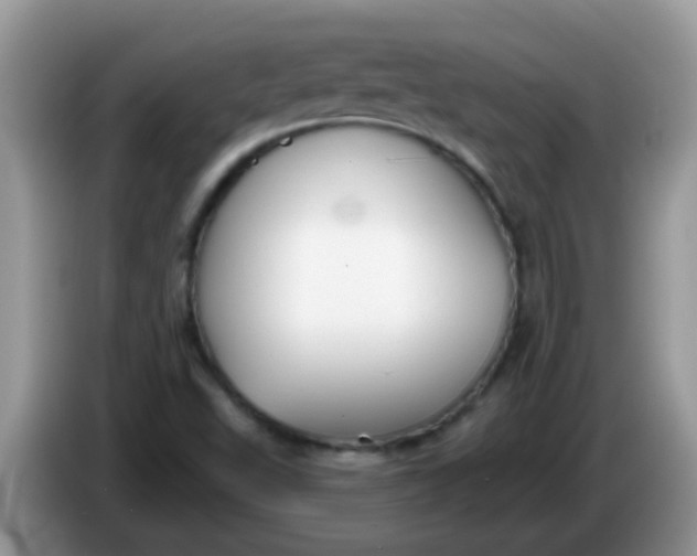 X0000086251503200704121942