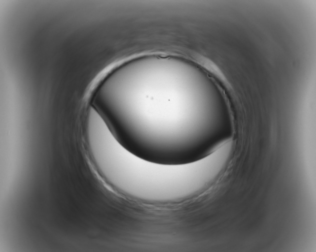 X0000086251504200704121942