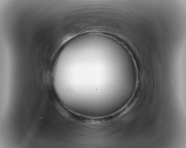 X0000086251505200704121942