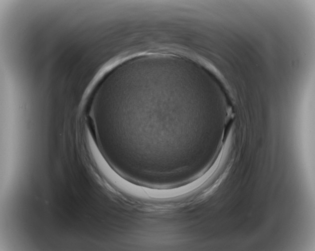 X0000086251506200704121942