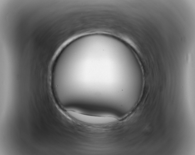 X0000086251508200704121942