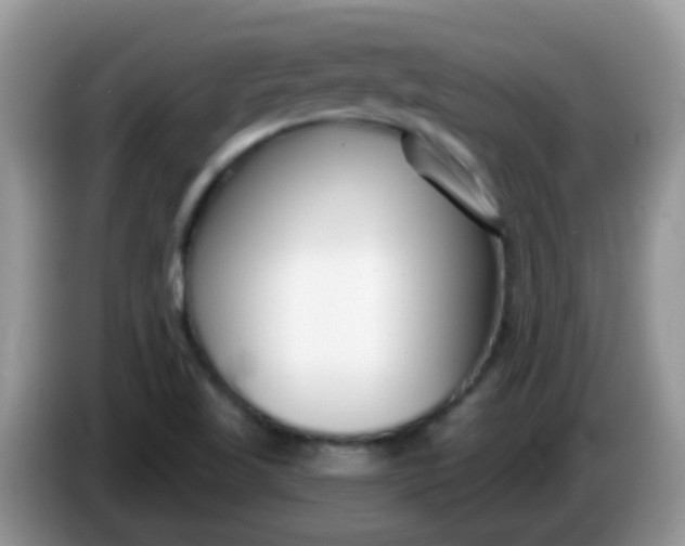 X0000086251509200704121942