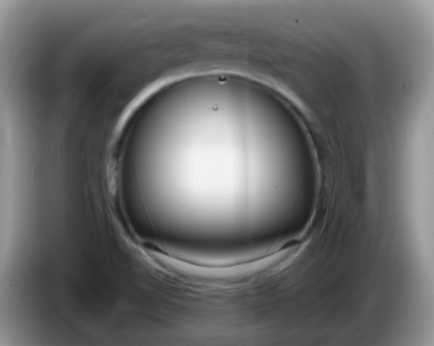 X0000086251510200704121942