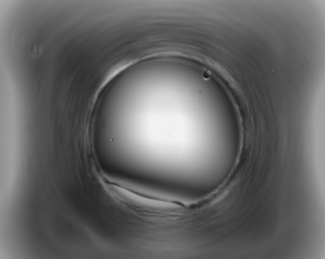 X0000086251513200704121942