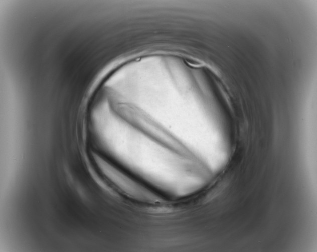 X0000086251515200704121942