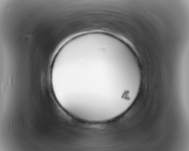 X0000086251516200704121942