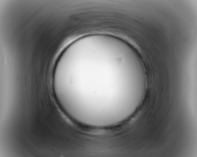X0000086251517200704121942
