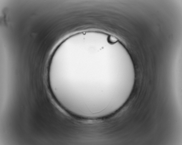 X0000086251518200704121942