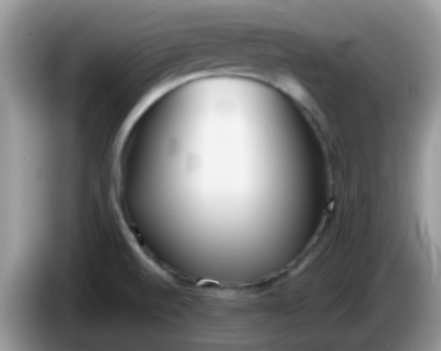X0000086251520200704121942