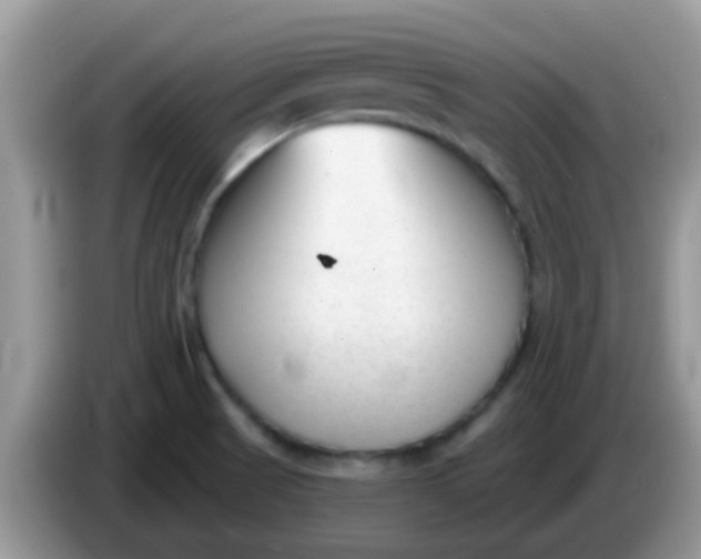 X0000086251521200704121942