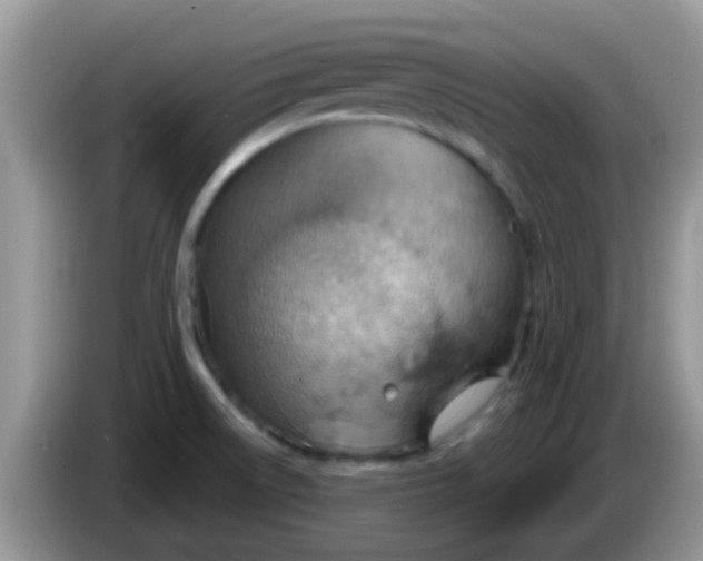 X0000086251522200704121942