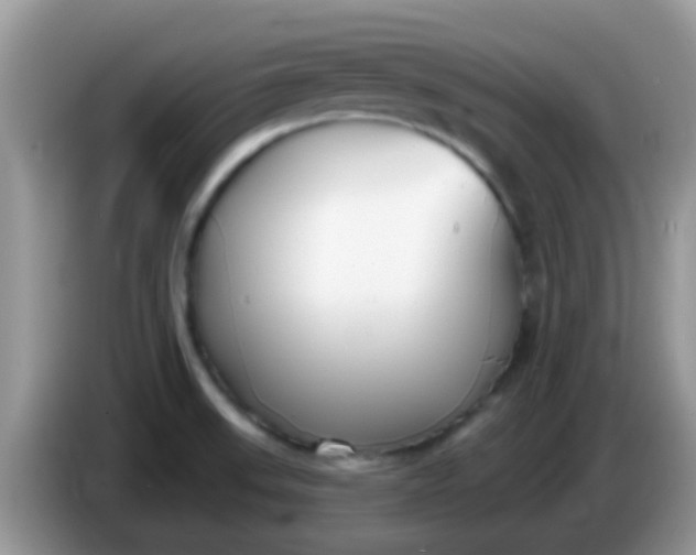 X0000086251523200704121942
