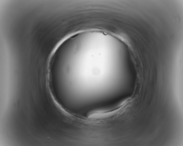 X0000086251524200704121942