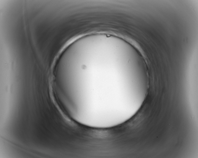 X0000086251525200704121942