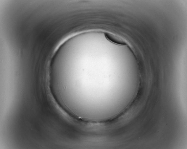 X0000086251526200704121942