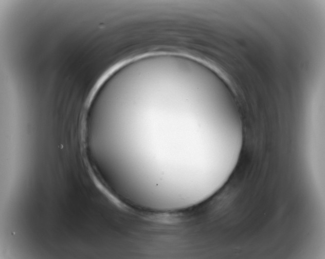 X0000086251527200704121942