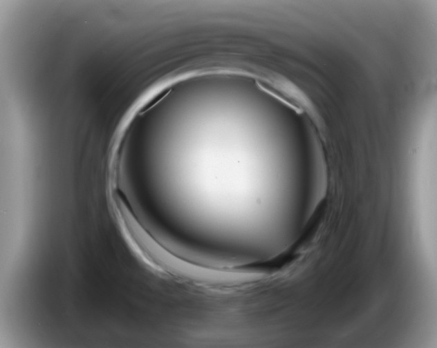 X0000086251528200704121942