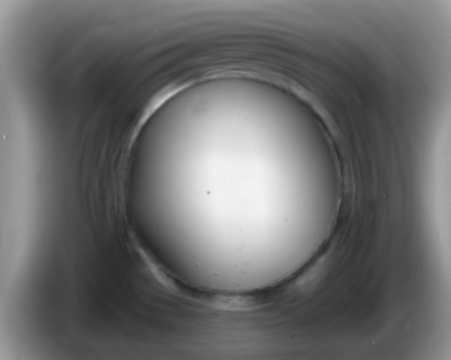 X0000086251529200704121942