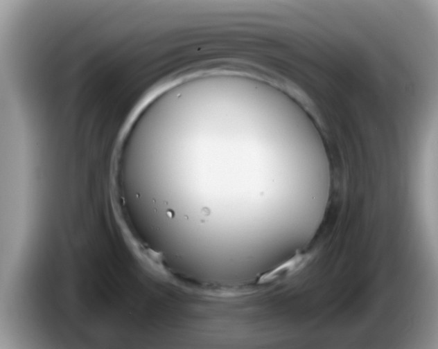X0000086251530200704121942