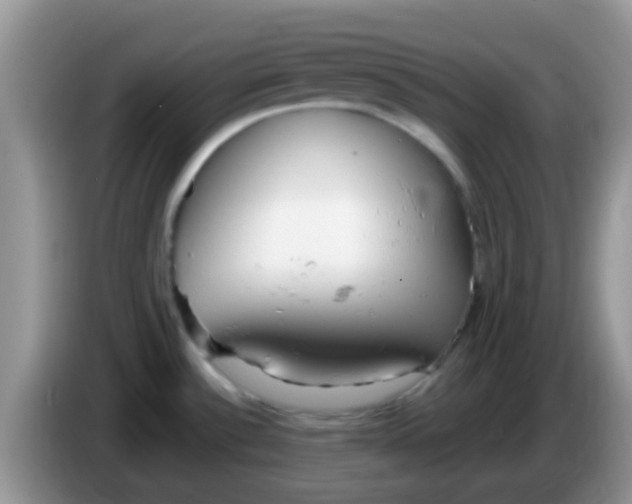 X0000086251532200704121942