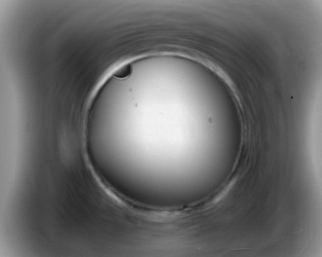 X0000086251533200704121942