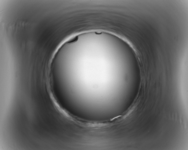 X0000086251534200704121942