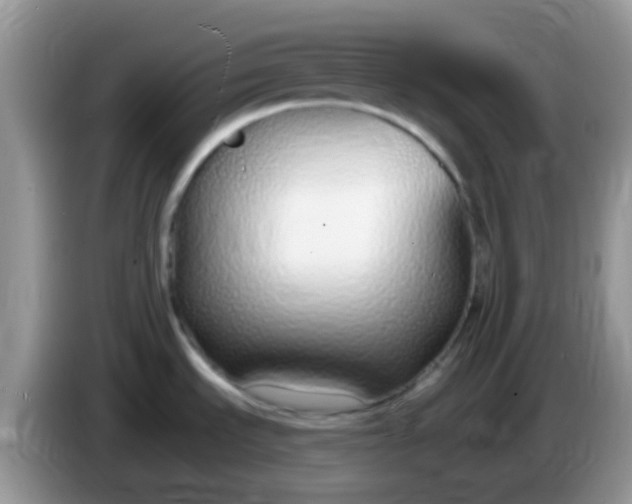 X0000086251535200704121942