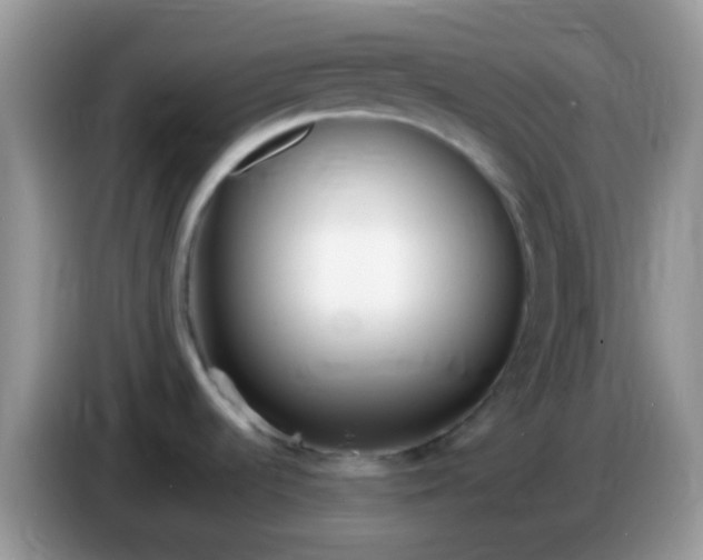 X0000086251536200704121942