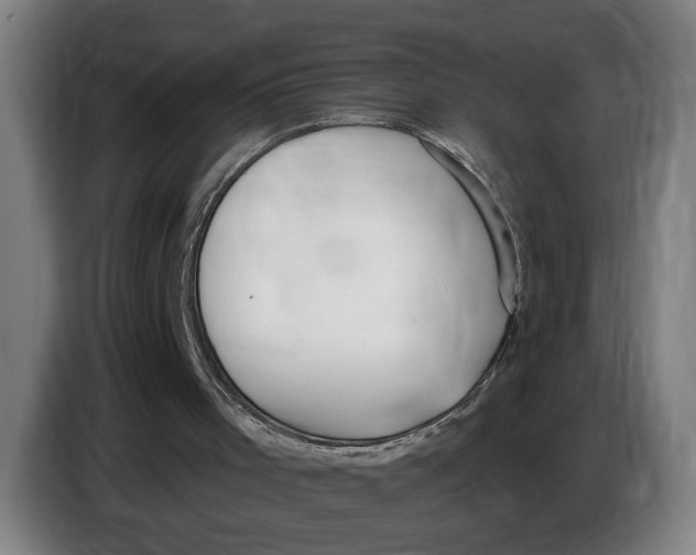 X0000086250001200704191852