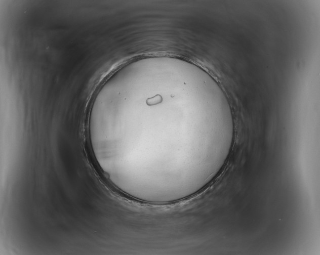 X0000086250002200704191852