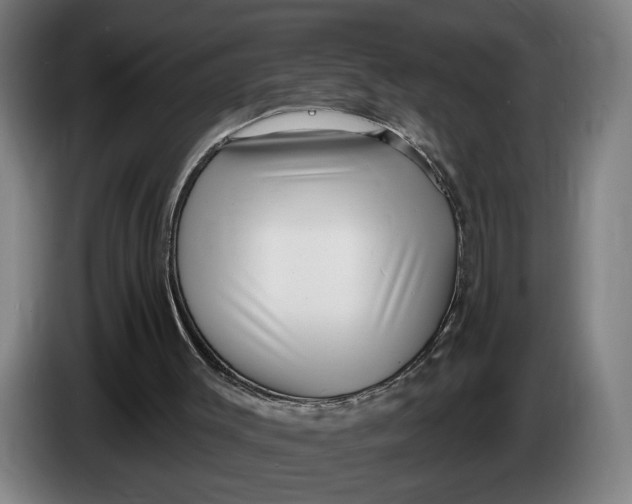 X0000086250003200704191852