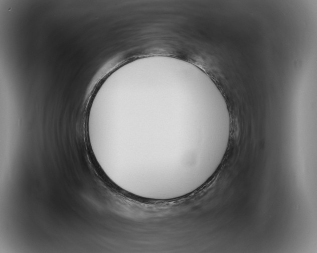 X0000086250004200704191852