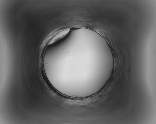 X0000086250005200704191852