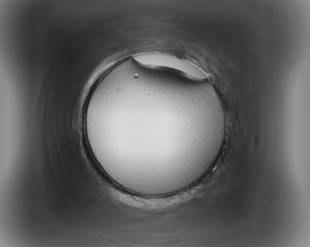 X0000086250006200704191852