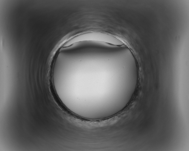 X0000086250007200704191852