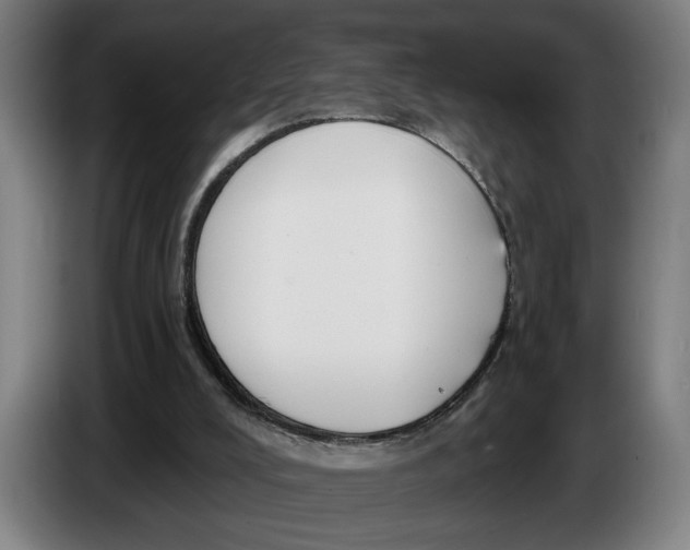 X0000086250008200704191852