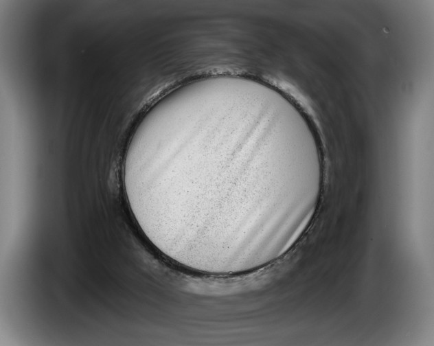 X0000086250009200704191852