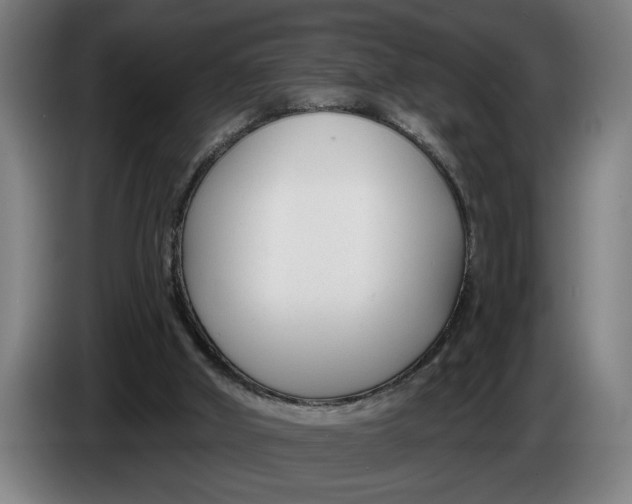 X0000086250010200704191852