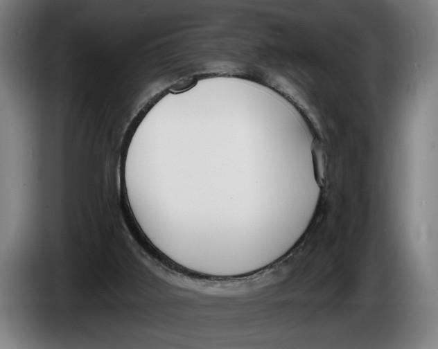 X0000086250011200704191852