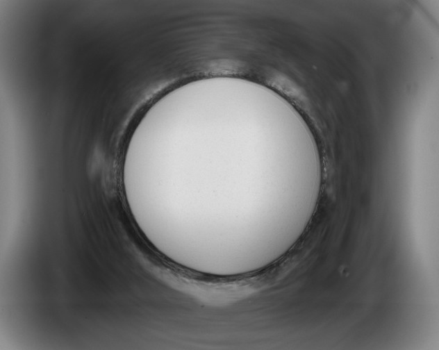 X0000086250012200704191852