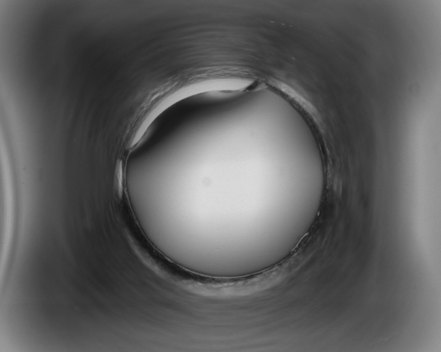 X0000086250013200704191852
