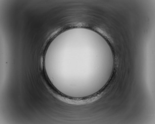 X0000086250014200704191852