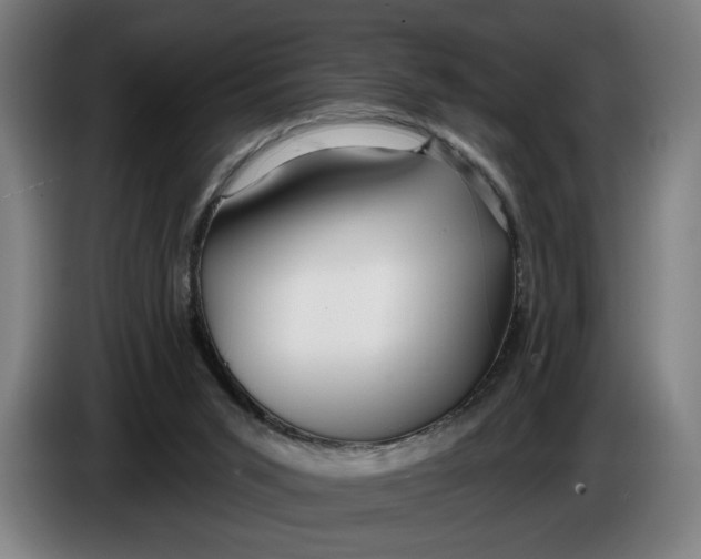 X0000086250015200704191852