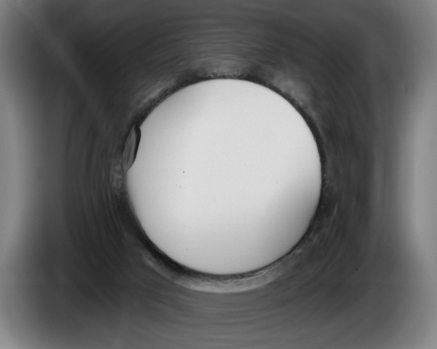 X0000086250017200704191852