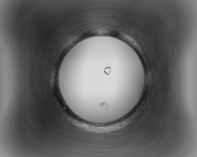 X0000086250018200704191852