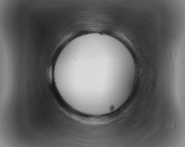 X0000086250020200704191852